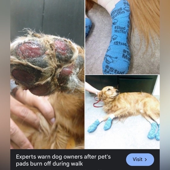 ⚠️ WARNING: 🐾 HOT PAVEMENT 🐕☀️ - Picture 2 of 2